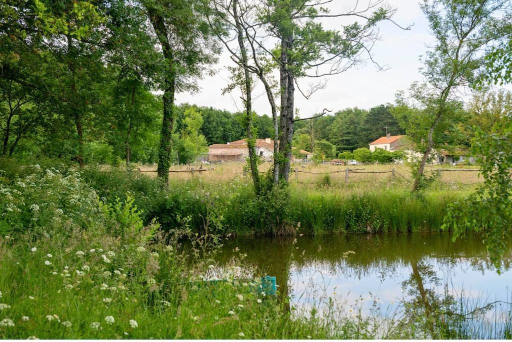 L'Evasion En Pierre Piscine Et Etang Prive Villa Sevremoine Екстериор снимка